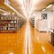 FAU – Biblioteca Arquitetura e Urbanismo